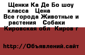 Щенки Ка Де Бо шоу класса › Цена ­ 60 000 - Все города Животные и растения » Собаки   . Кировская обл.,Киров г.